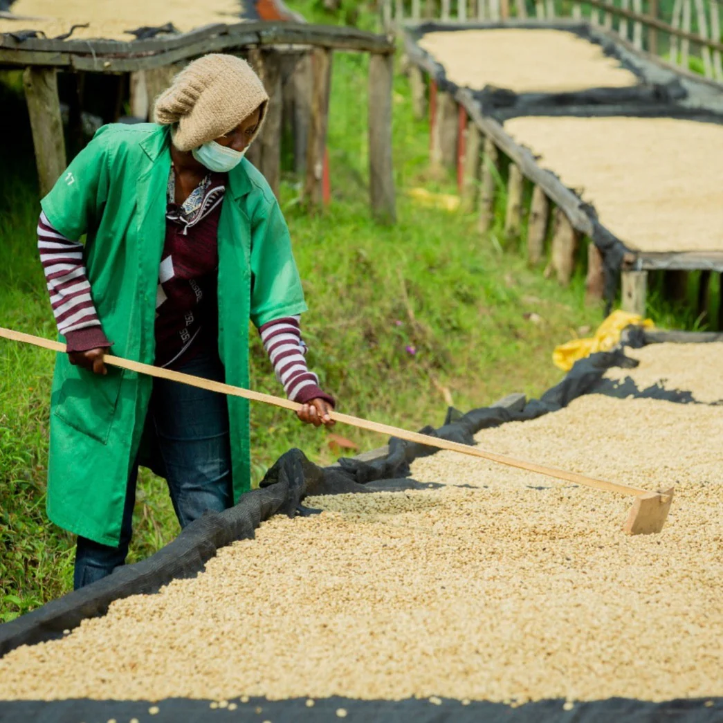 Buliza Dark Roast - Image 3