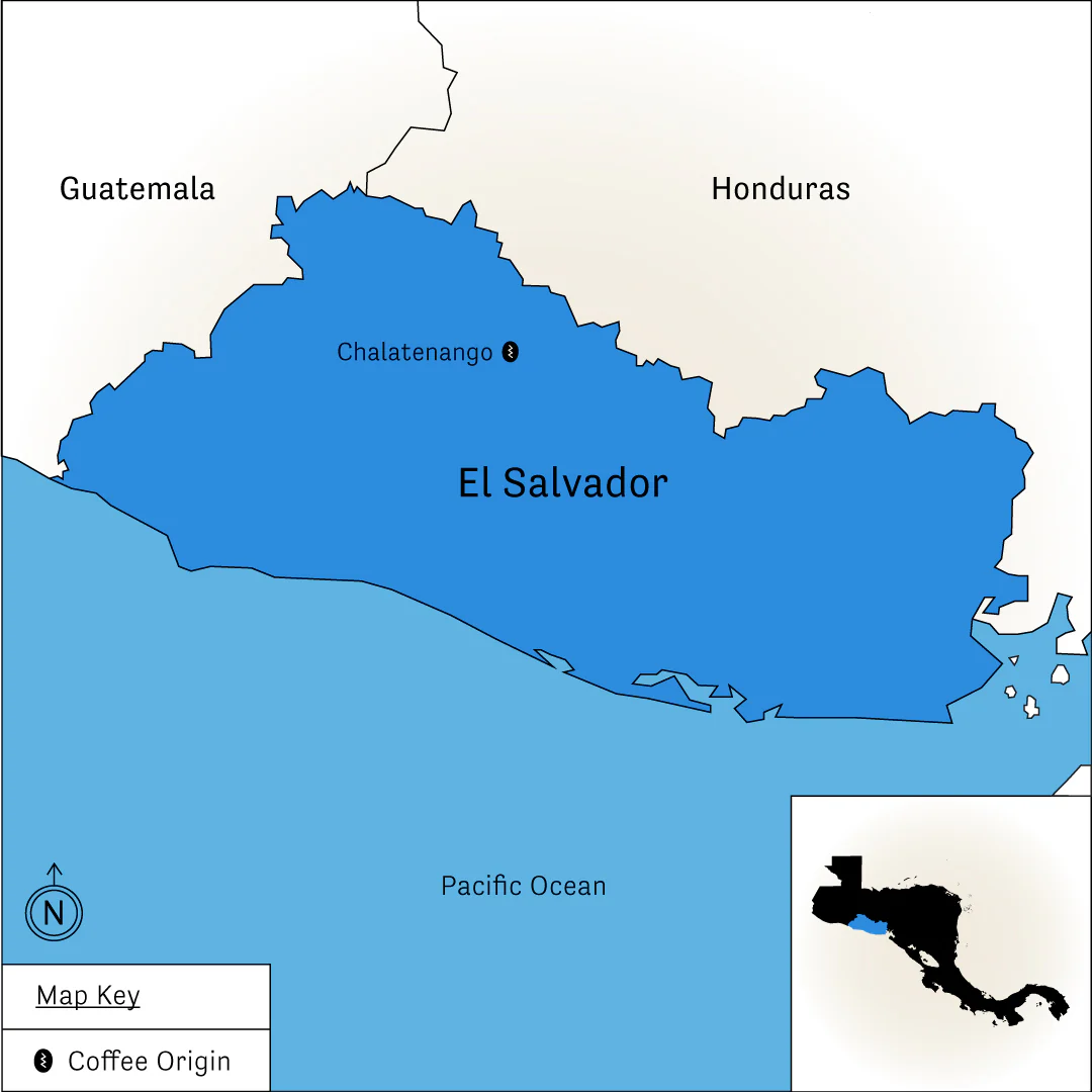 CaféNor Pacamara - Image 6