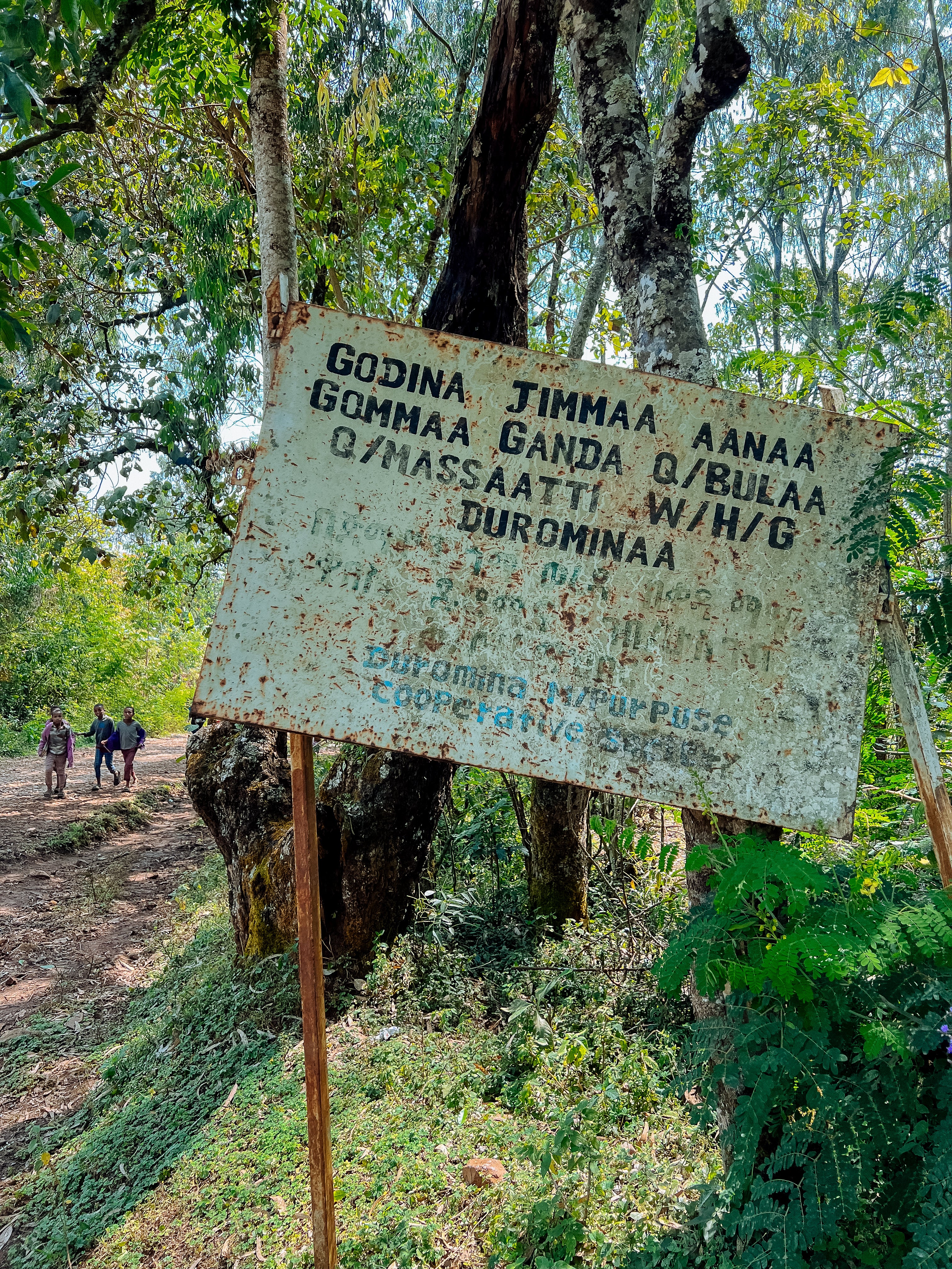 Duromina - Image 3