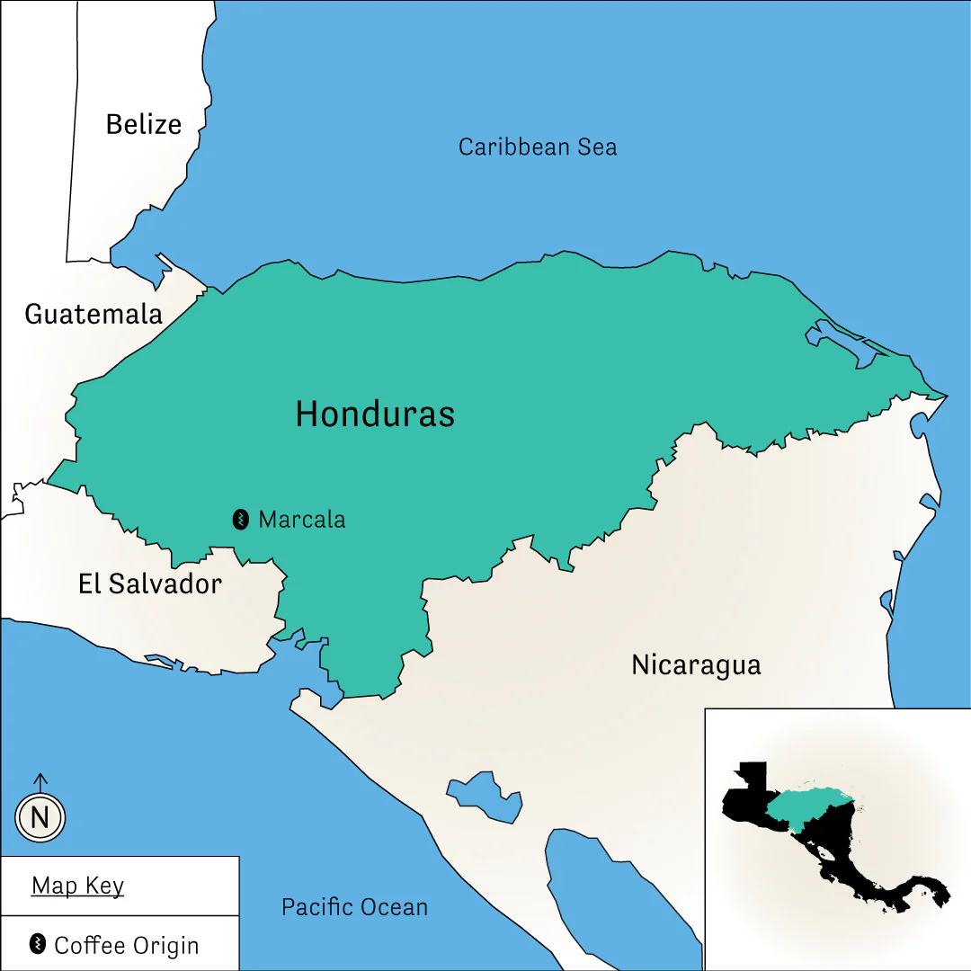 Finca El Puente – Honey - Image 2