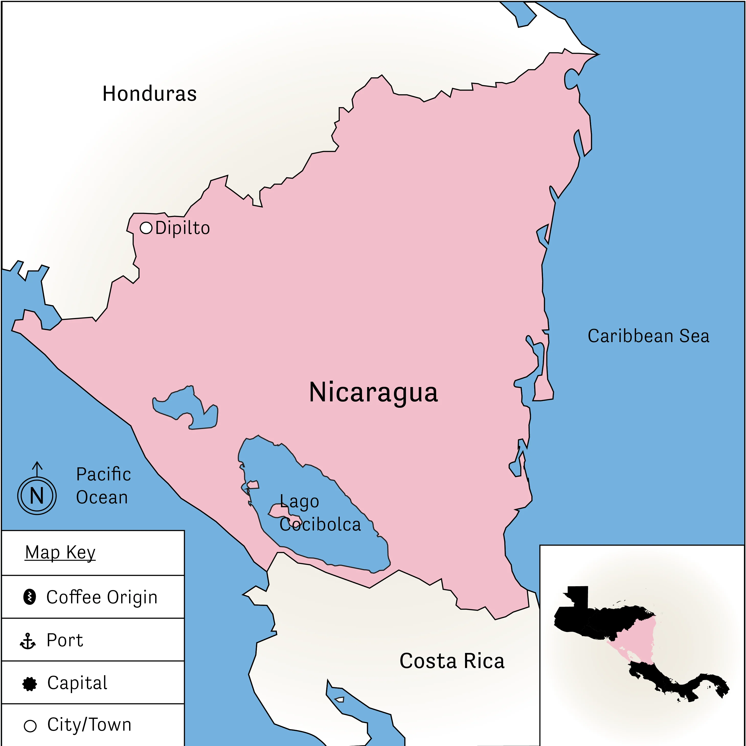 Finca La Victoria – Java Variety - Image 4