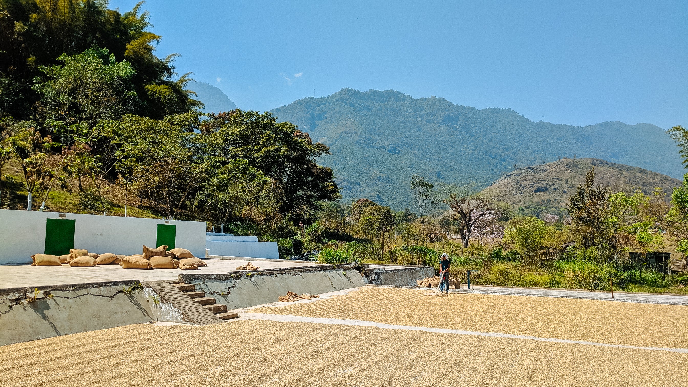 Finca Nueva Armenia - Image 5