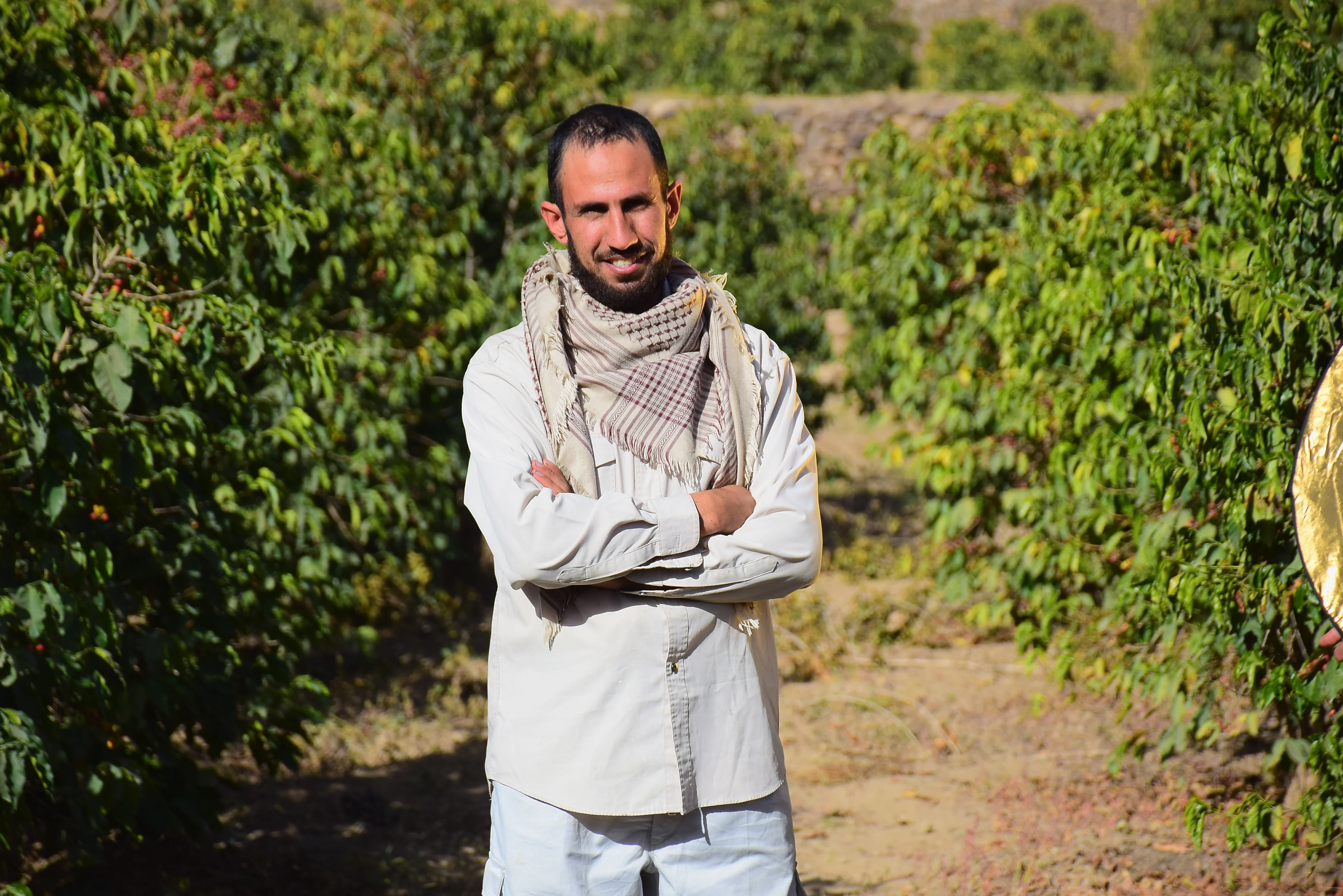 Hassan Assalol - Natural Sundried  **SOLD OUT** - Image 5