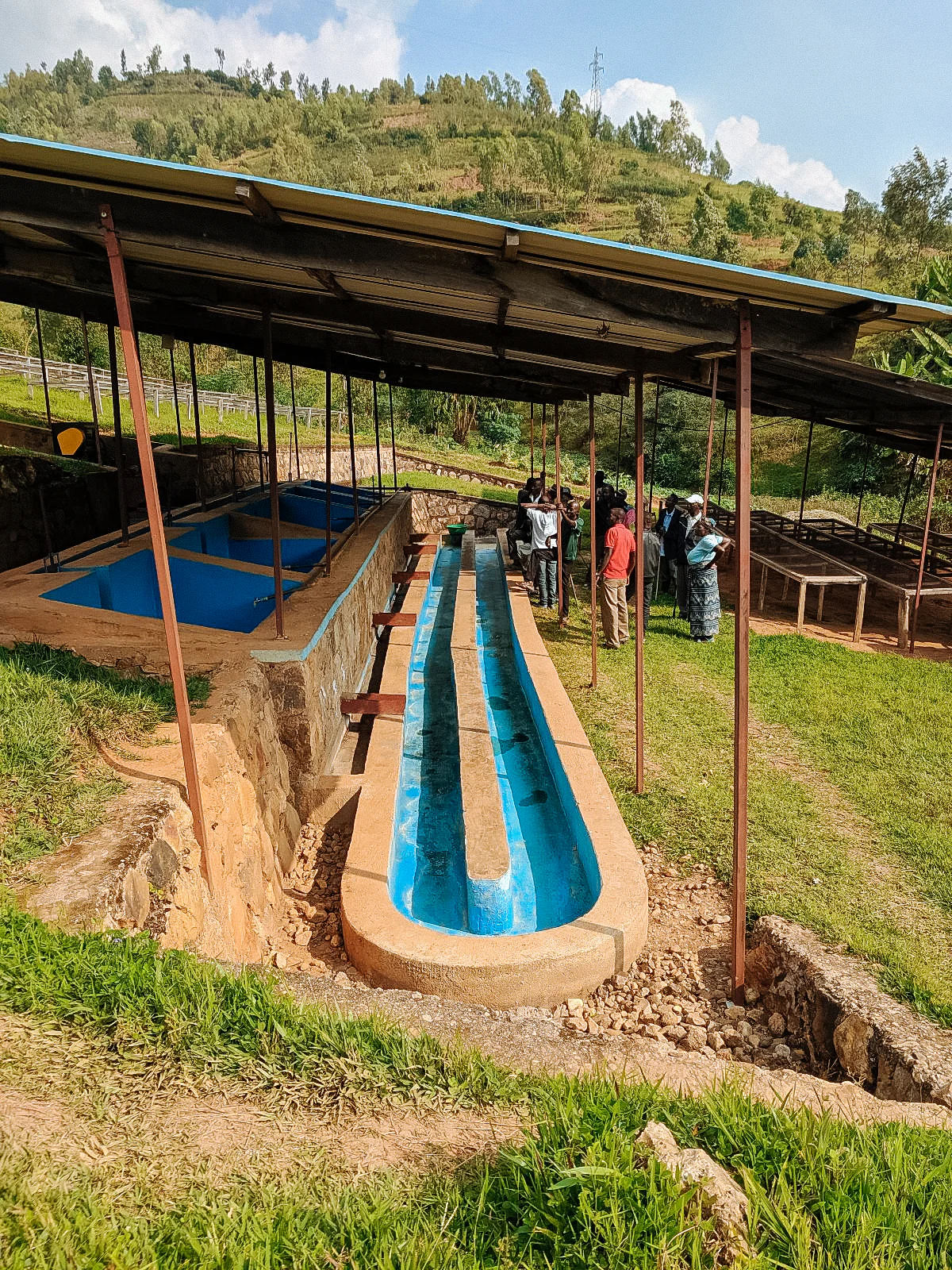 Intango - Image 4