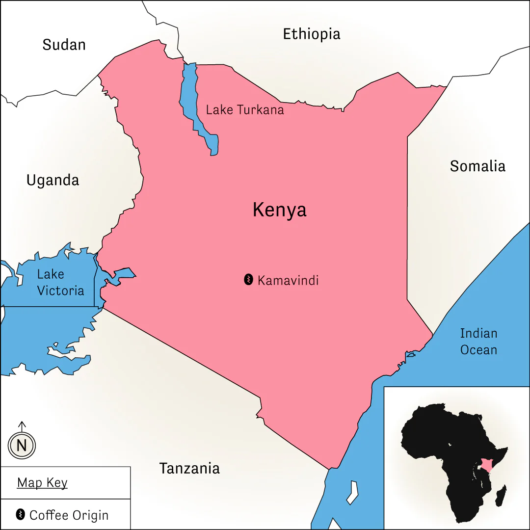 Kamavindi - Image 3