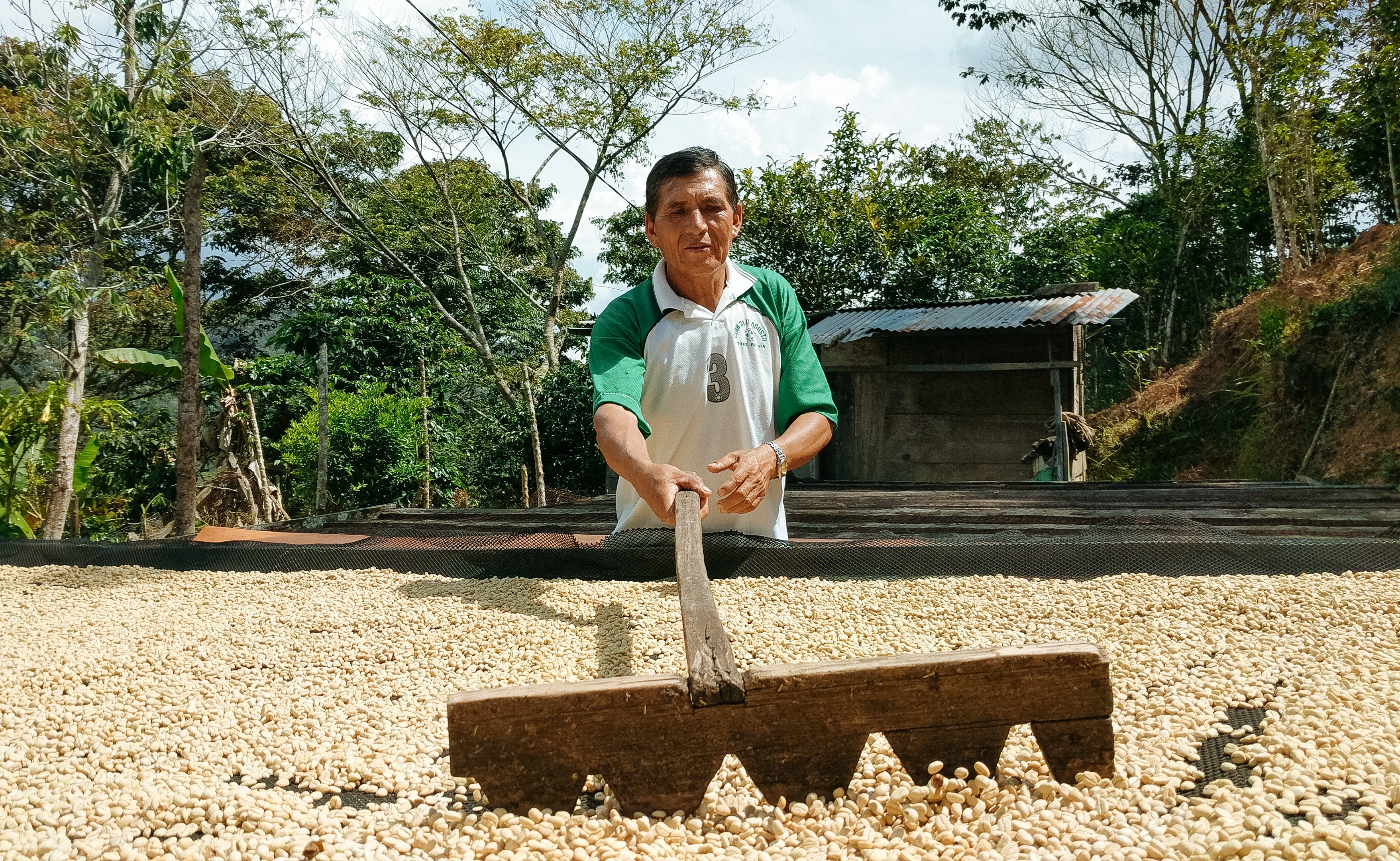 Luis Huayhua - Image 2