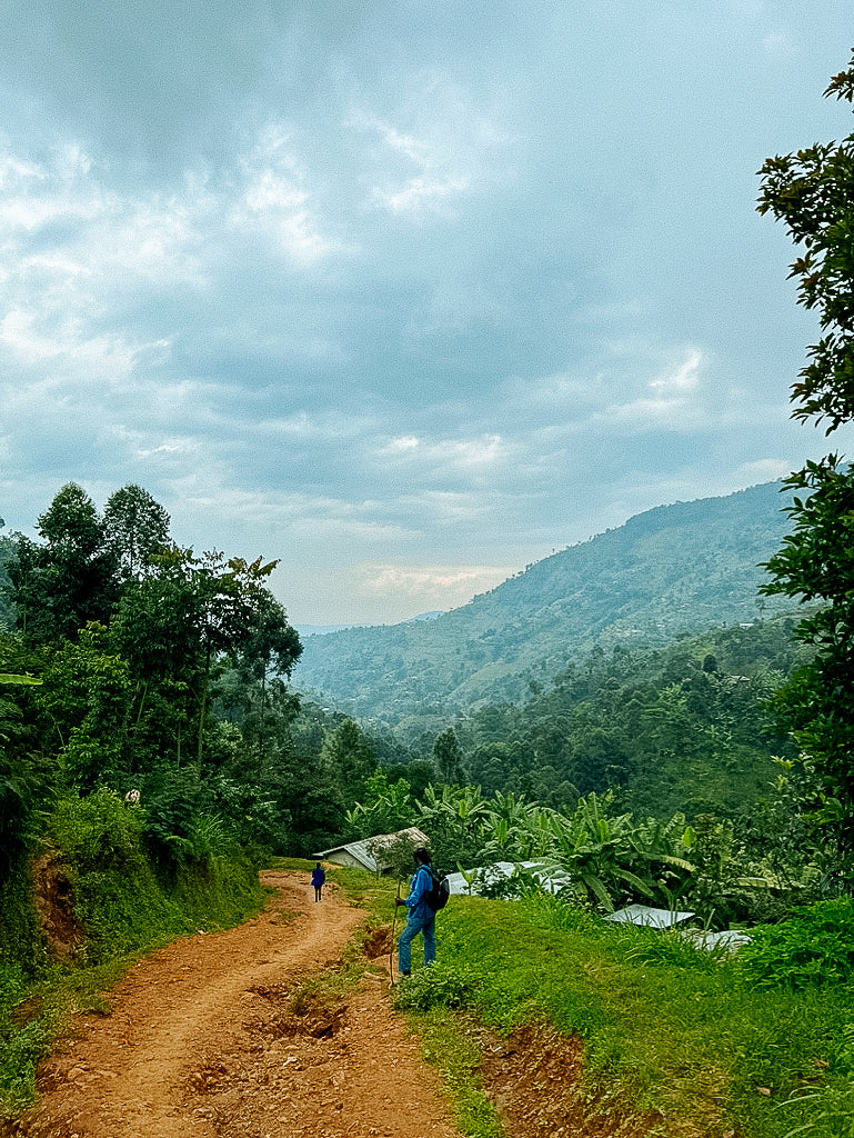 Mountain Harvest - Image 2