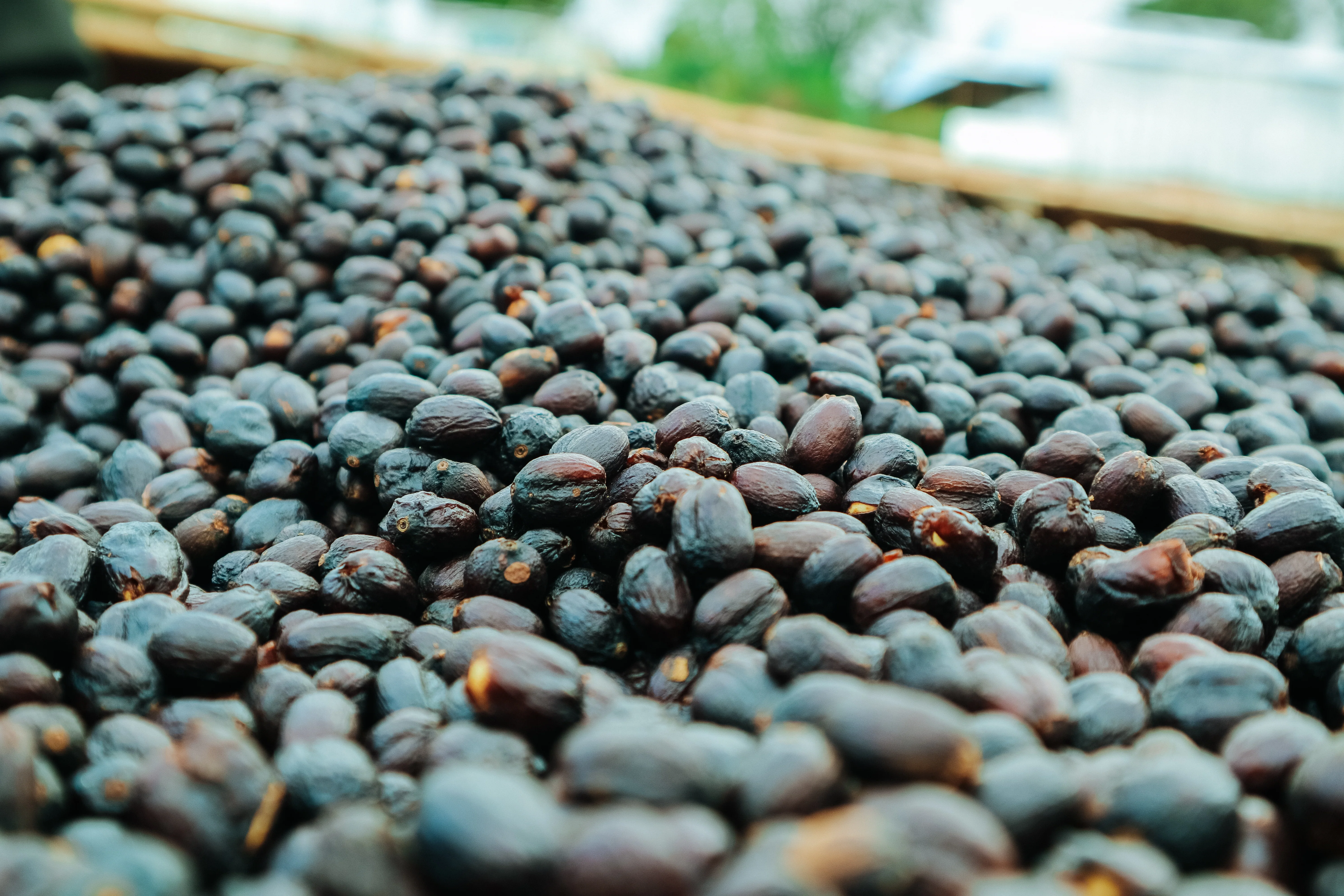 Okoluu – Natural Sundried - Image 4