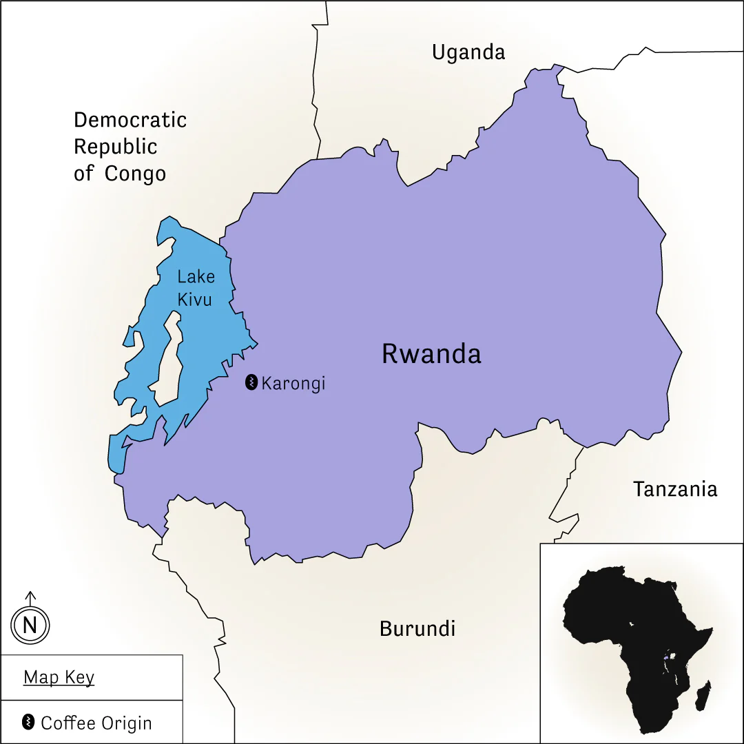 Ruronzi – Natural Sundried - Image 6