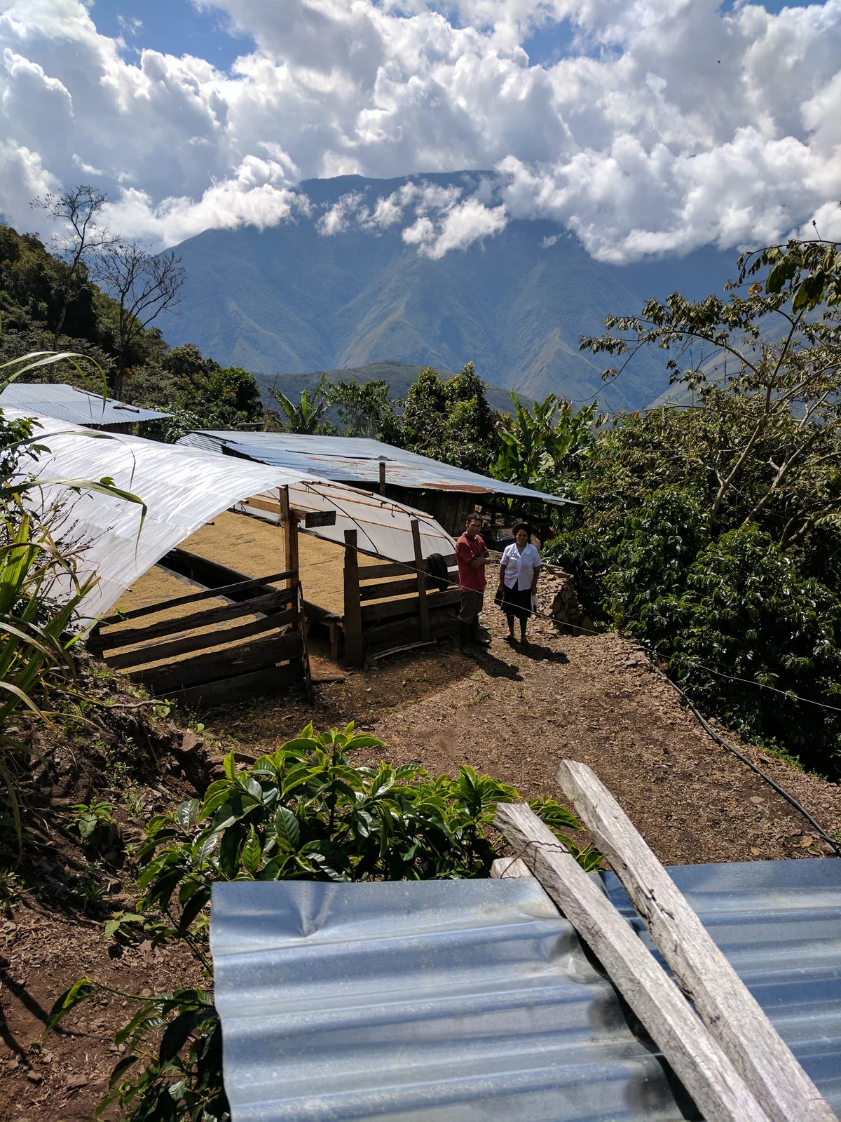 Valle Inca - Image 5